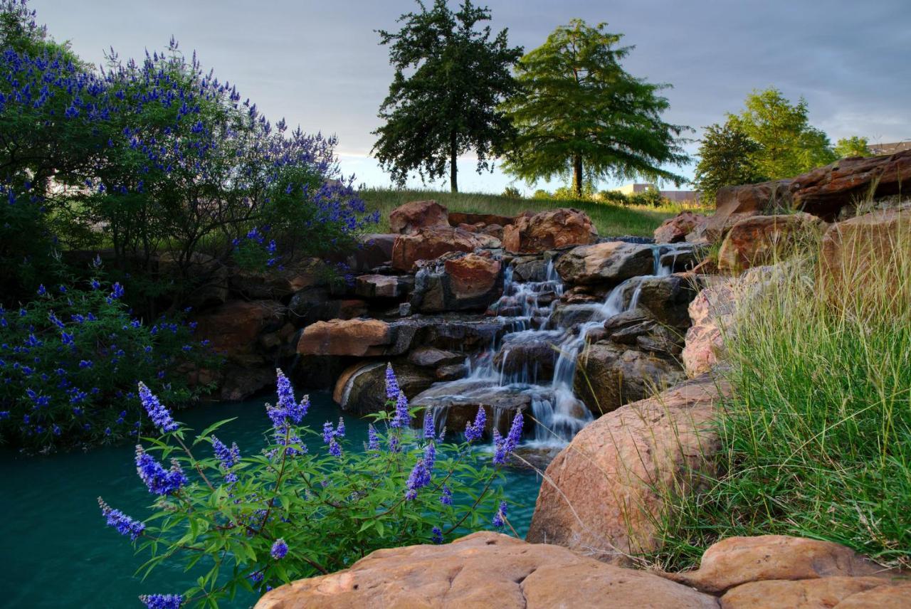 Holiday Inn Express Frisco Legacy Park Area, An Ihg Hotel Exterior foto